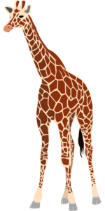 giraffe, tall, long neck-40035.jpg